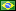 Português-Brasil